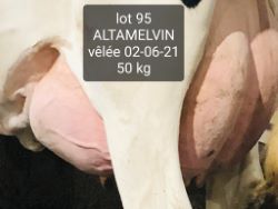 25439