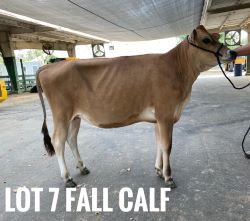 27811