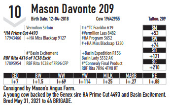 28817