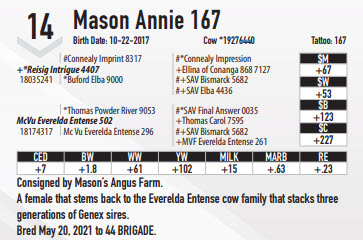 28824