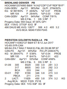 27316