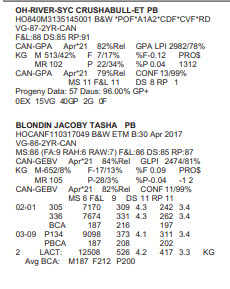 27352