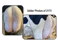 34277