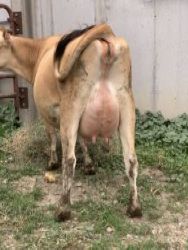 32809