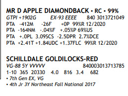 39061