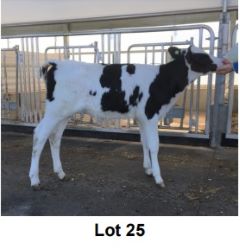 46419