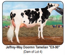 45941