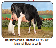 46030
