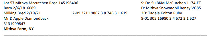 40805