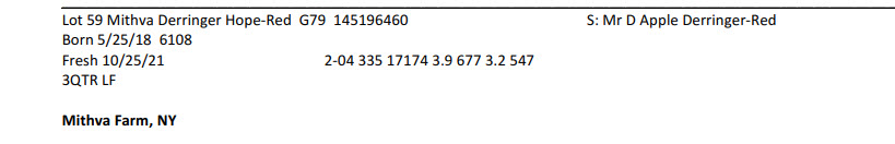 40807