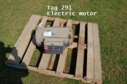 291