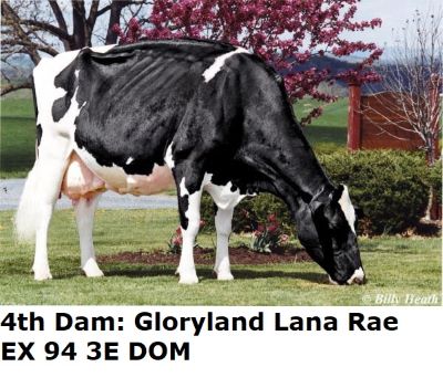 48141