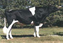 48086
