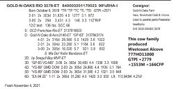 46903