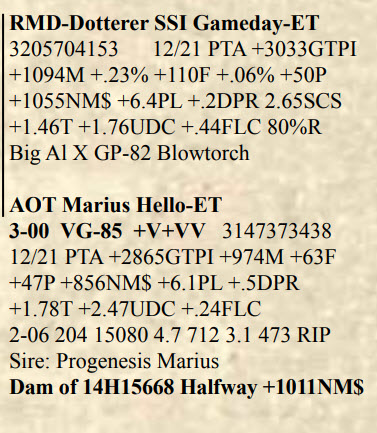 51034