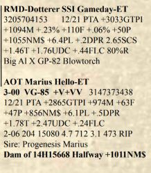 51034