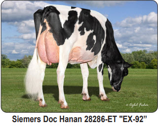 48667