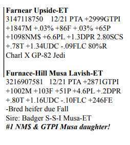 66062