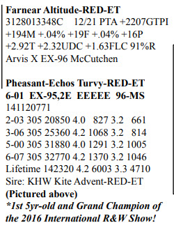 66065