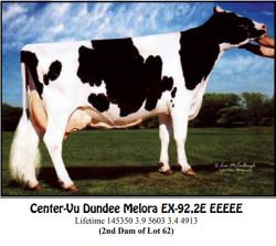 74294