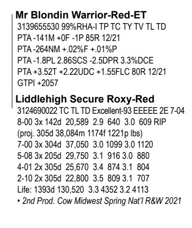 56166