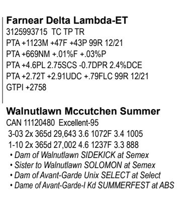 56173