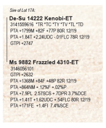 17A-1