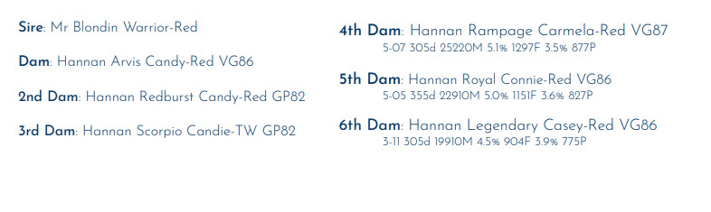 60494