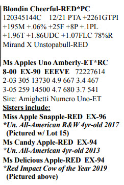 47858