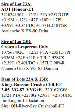 47864
