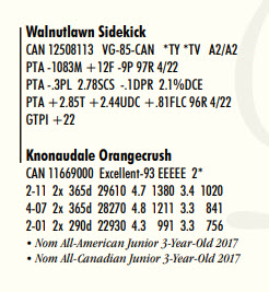 86949