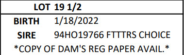 48856