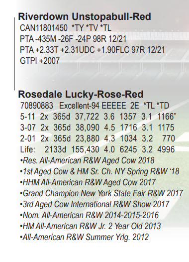 51262