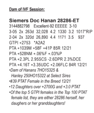 51353