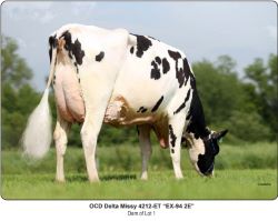 51185