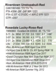 51262
