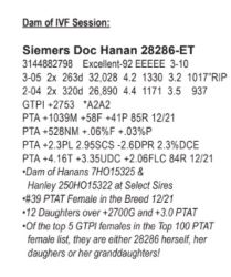 51353