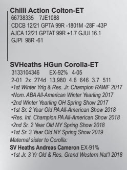 68954
