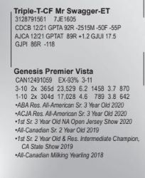 68924