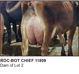 48931