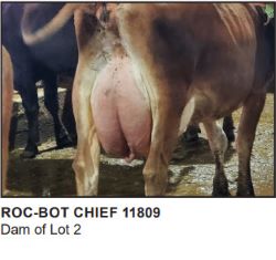 48931