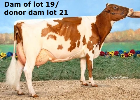 69332