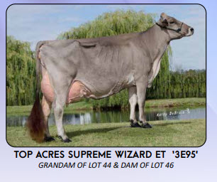 74455