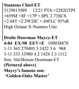 66026