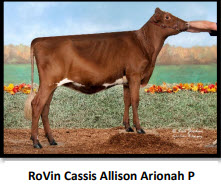 80880