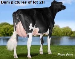 64294