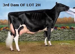 64295