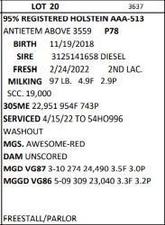73146