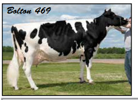 69523