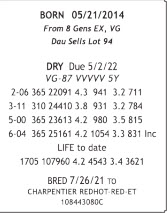 71717
